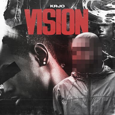 Vision Cover